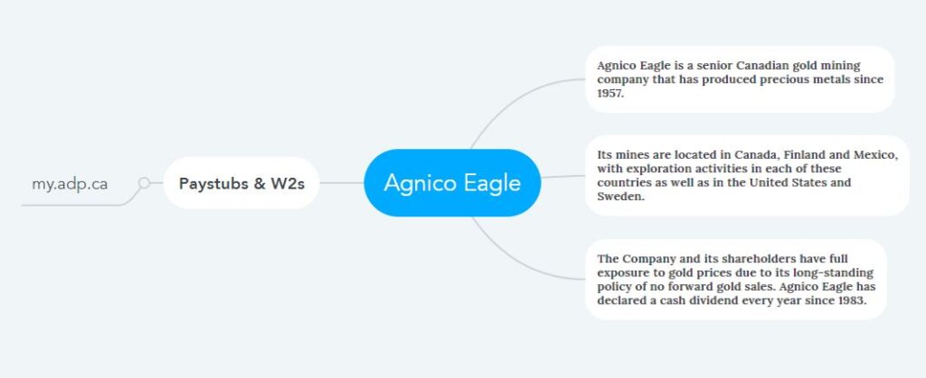 Agnico Eagle Pay Stubs